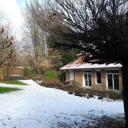 Un Grand Jardin En Ville. Chez Guy Uccle Esterno foto
