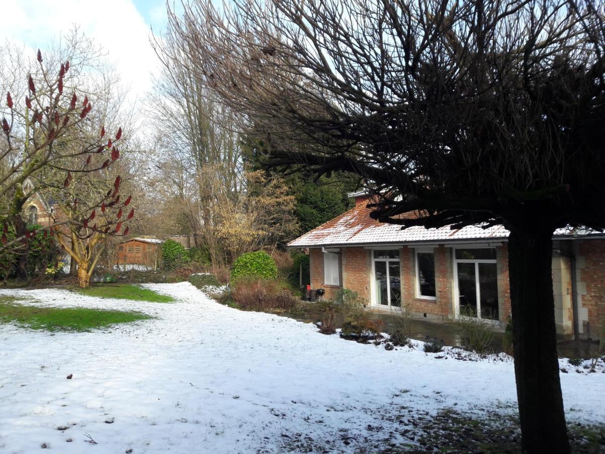 Un Grand Jardin En Ville. Chez Guy Uccle Esterno foto